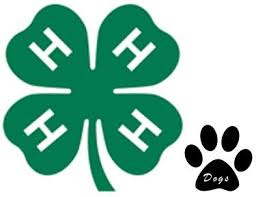 4H